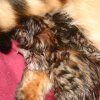 060116_sans titre_034-4